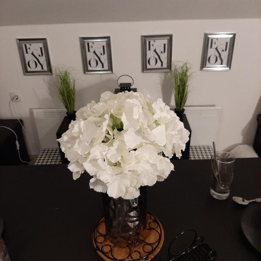 Apartment Mansarda Maribor Buitenkant foto
