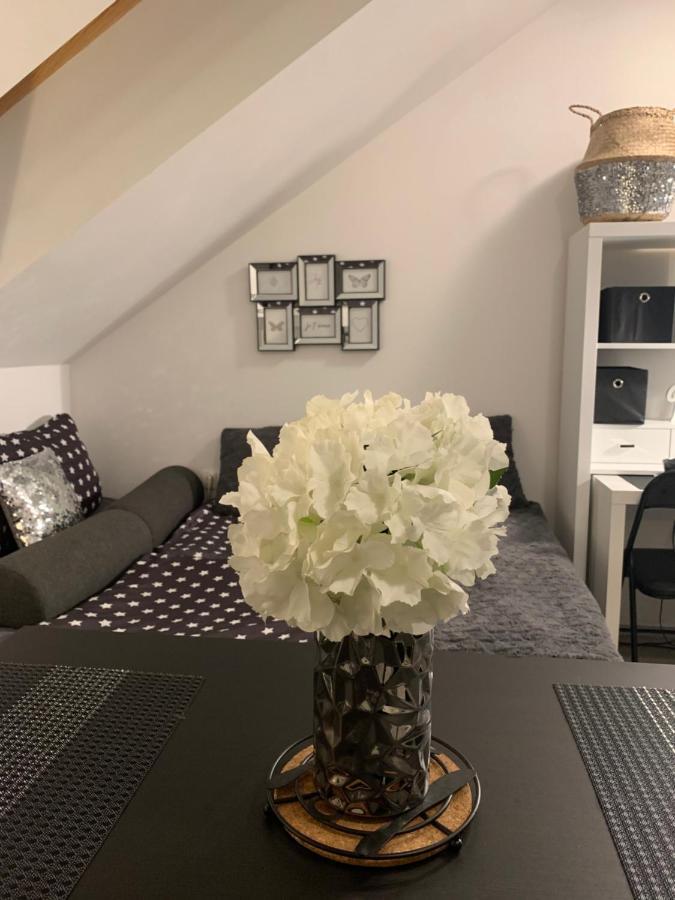 Apartment Mansarda Maribor Buitenkant foto